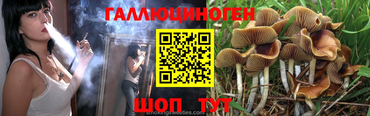 Галлюциногенные грибы Magic Shrooms  цена наркотик  Улан-Удэ  Псилоцибиновые грибы Magic Shrooms  Вход с VPN 